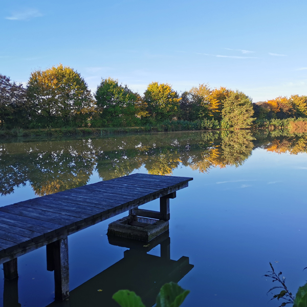 Bastenauer Weiher Wörnitz Steg