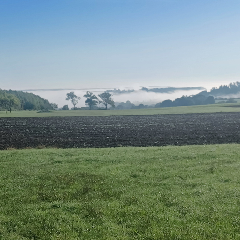 Bodennebel von Schillingsfürst kommend in Richtung Altengreuth.