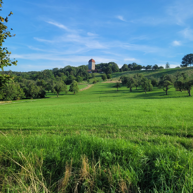 Blick auf das Brunnenhausmuseum Schillingsfürst über grüne Wiesen