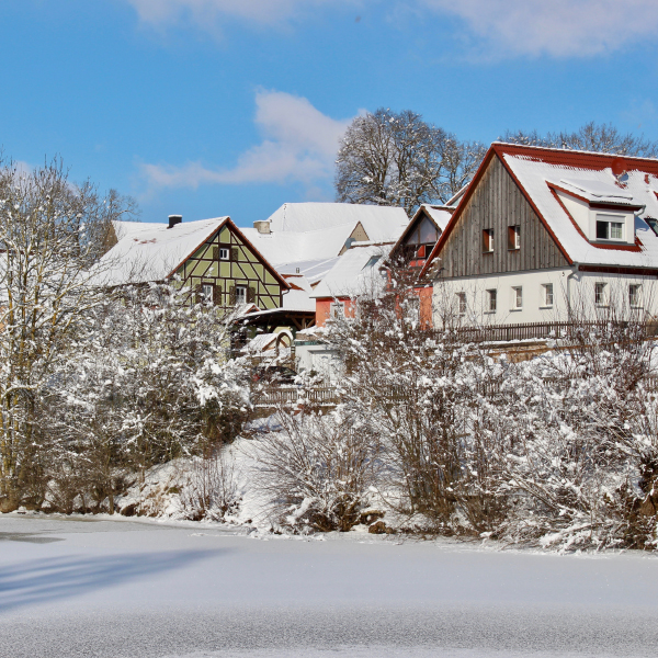 Buch am Wald im Winter