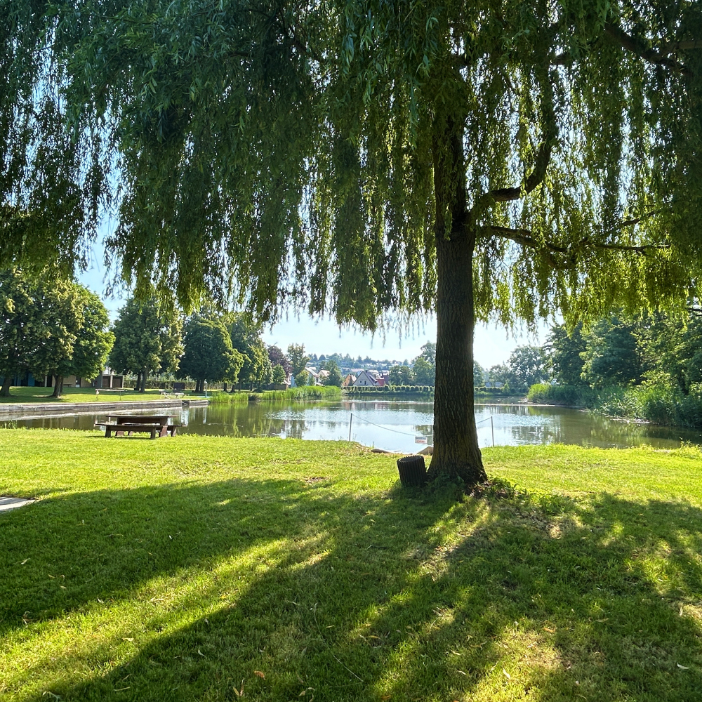 Schleifweiher im Freibad in Feuchtwangen Dinkelsbühl