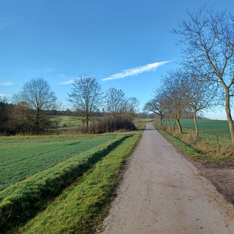 Frühling Anfang Januar 2023