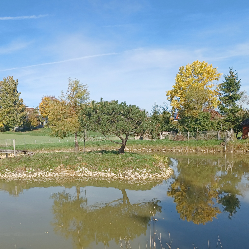 Herbstsonne in der Gemeinde Ohrenbach