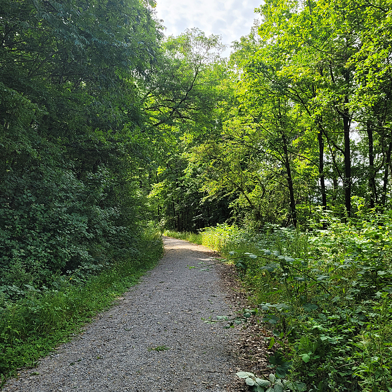 Einer der zahlreichen Wanderwege im Naturpark