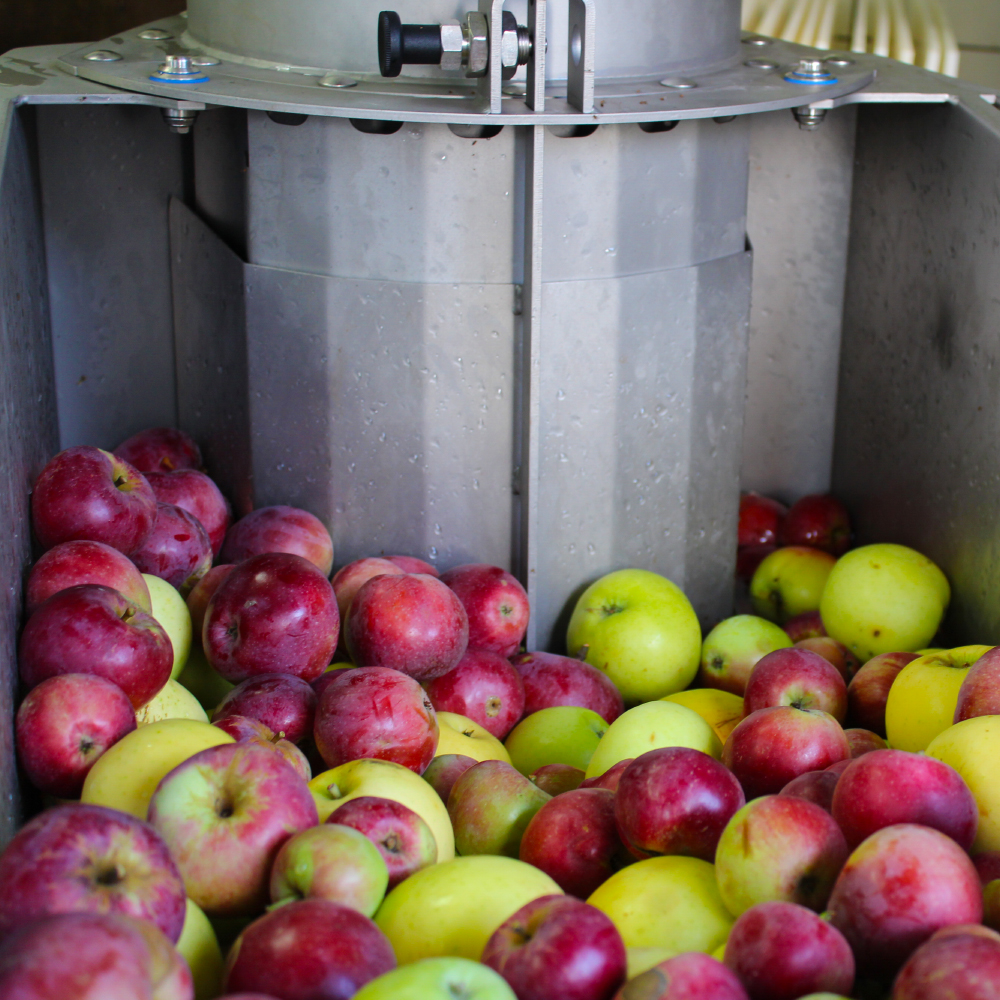 Äpfel im Presshäcksler 