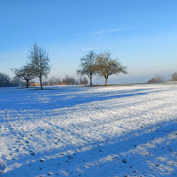 Schneelage im Januar 2022