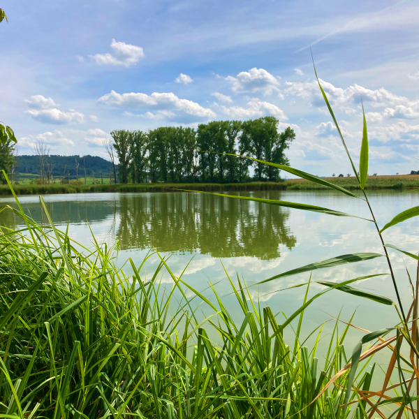 Steinsfeld Großer Lindleinsee