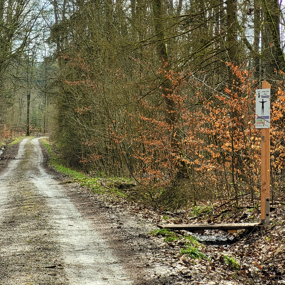 Übungsschild am Waldrand beim Trimm-Dich-Pfad in Wettringen