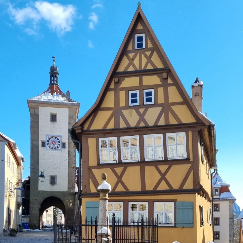 Plönlein im Schnee