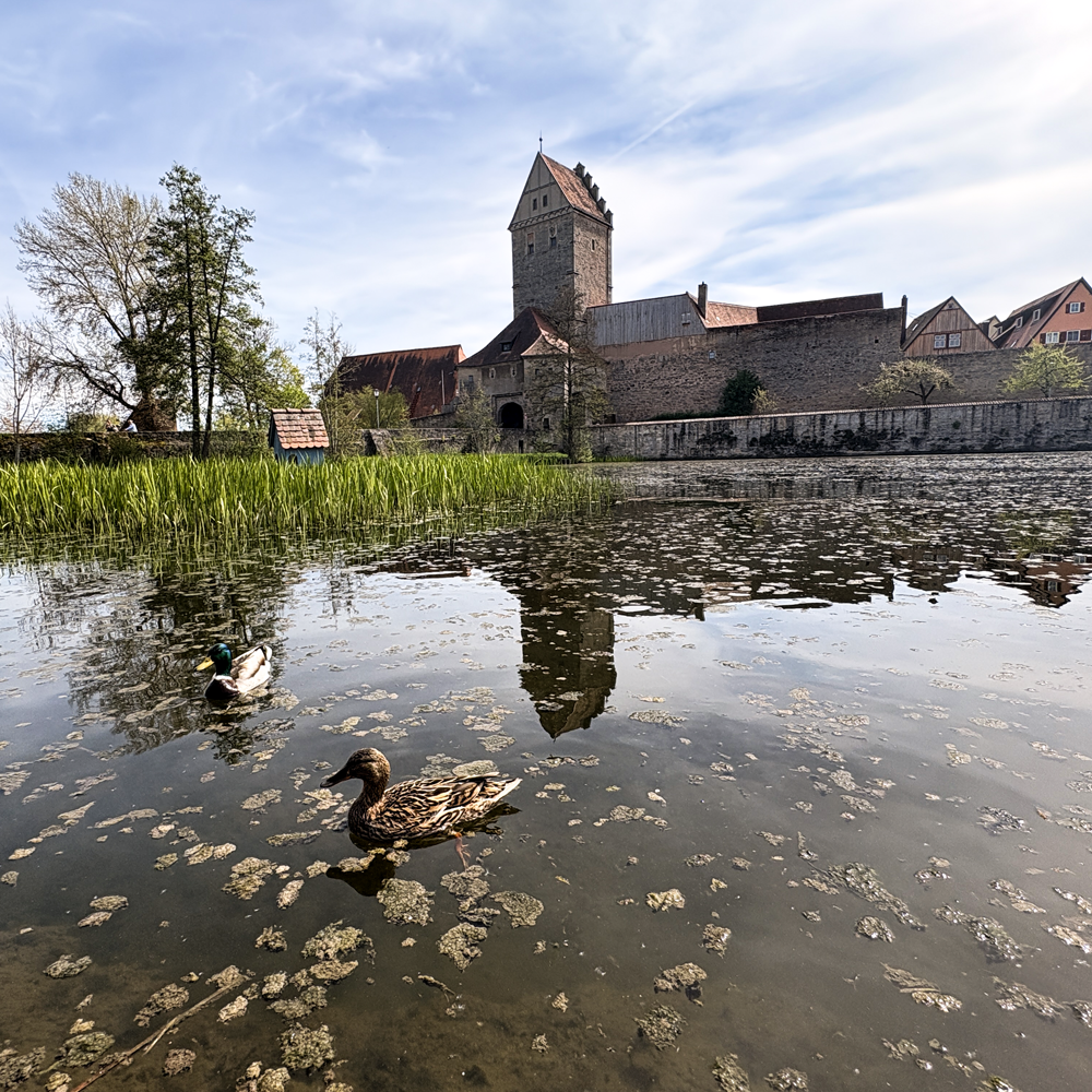 Das Rothenburger Tor in Dinkelsbühl im Frühling