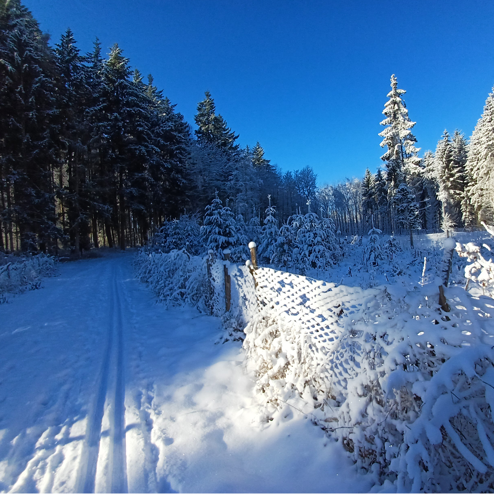 Schneelandschaft rund um Schillingsf&uuml;rst