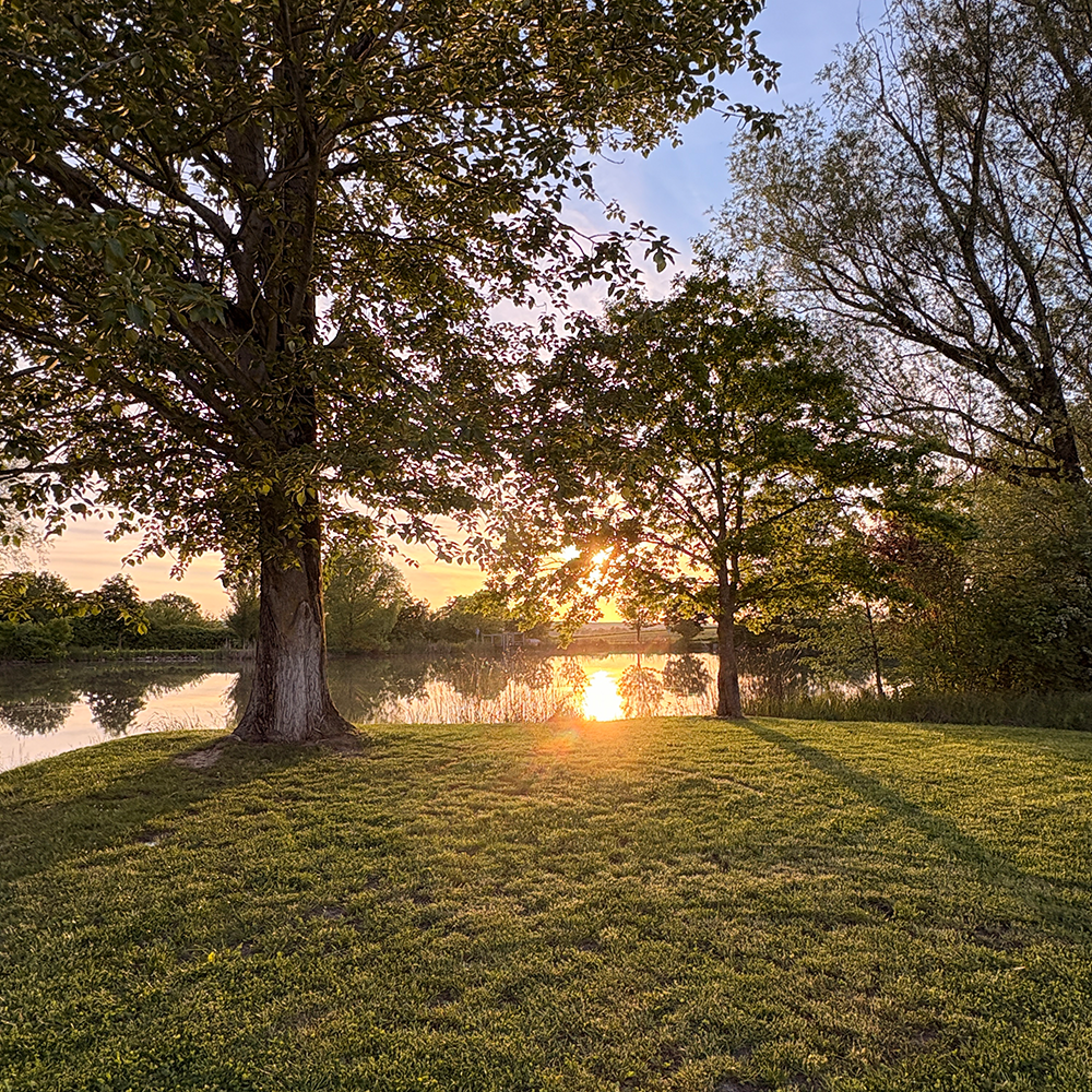 Abendsonne &uuml;ber den Binzwanger Weiher