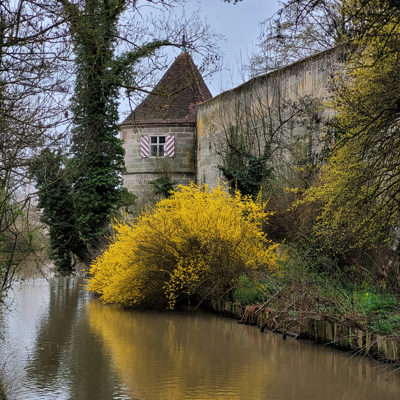 Die Wörnitz in Dinkelsbühl führt viel Wasser.