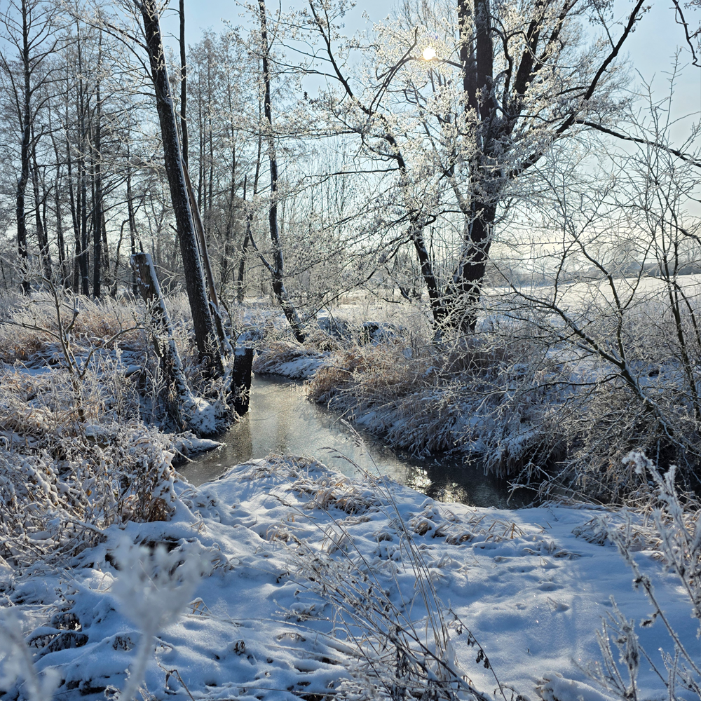 Ein frostiger Wintermorgen an der Wörnitz