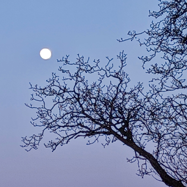 Bester Blick auf den Vollmond