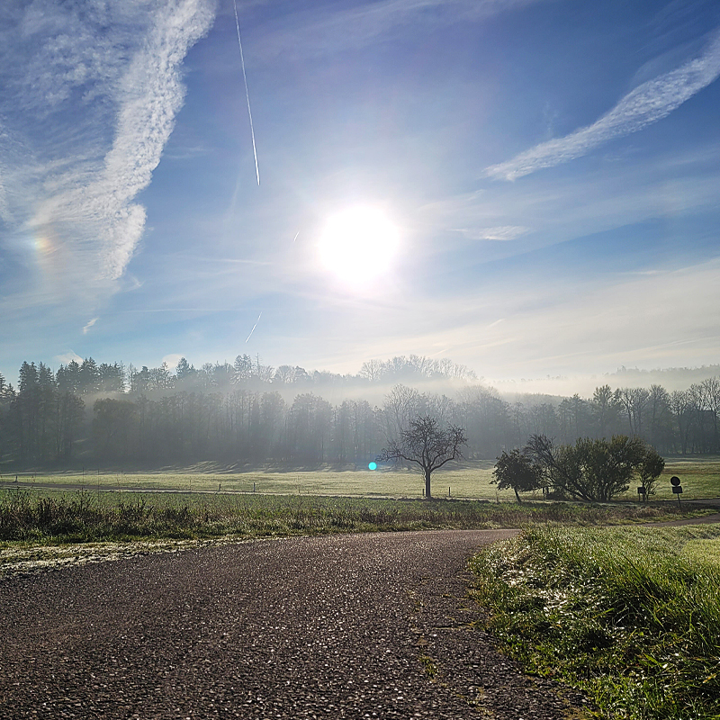 Nebel am Morgen mit strahlendem Sonnenschein