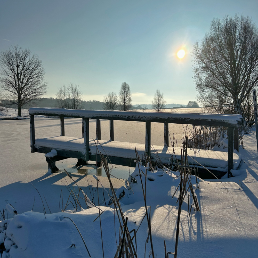 Der Binzwanger Weiher in der Wintersonne