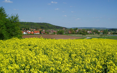 Dinkelsbühl