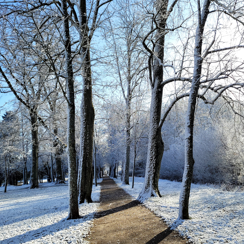 Der Februar brachte dann nur noch »Winter light«